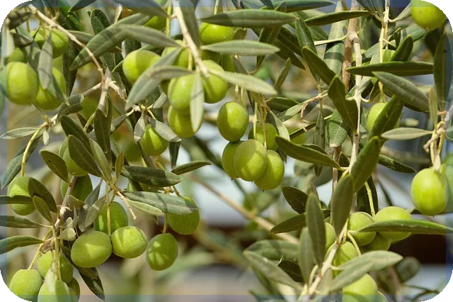 전세자금대출 한도 연봉 계산법 총정리