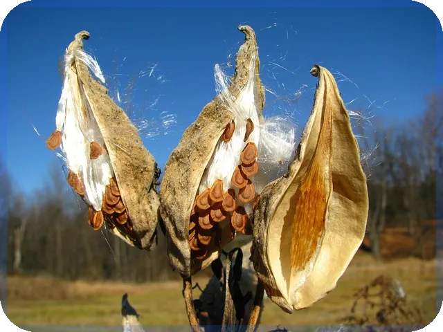 주택담보대출 상환방법 완벽 정리