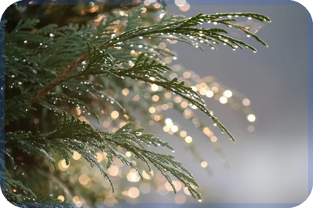 주택담보대출 상환방법 완벽 정리