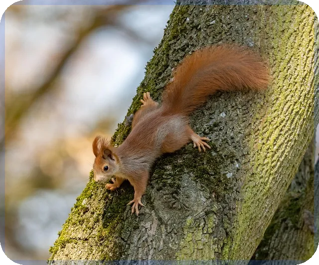 학자금대출 이자 납부 줄이는 법과 팁