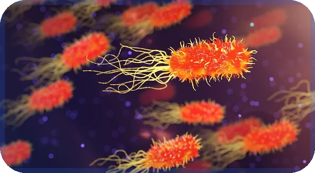 학자금대출 이자 납부 줄이는 법과 팁