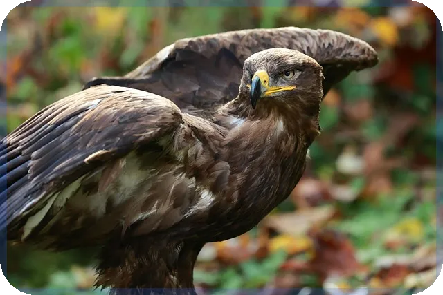학자금대출 이자지원 내용 신청하세요
