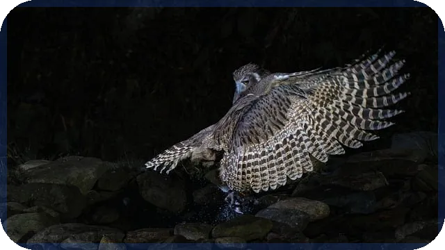 햇살론유스특정용도자금으로 청년 경제자립 가능할까