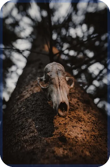 햇살론유스특정용도자금으로 청년 경제자립 가능할까