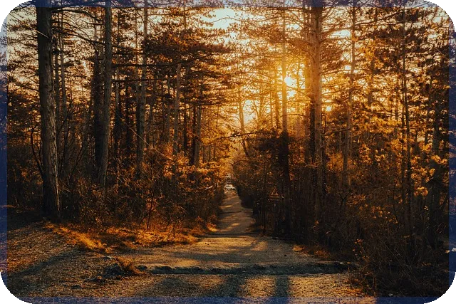 가입된보험조회로 내 보험 완벽 이해와 효율적 관리 방법