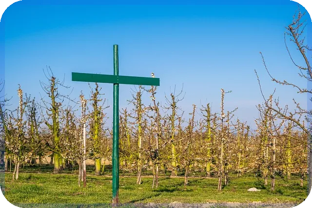 기초생활수급자재산과 혜택 비교2025년 최신판