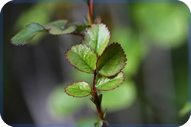 기초생활수급자재산과 혜택 비교2025년 최신판