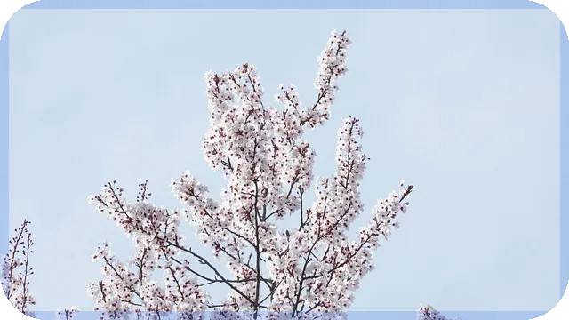 농협마이너스통장 개설조건과 금리 한도 완전정리