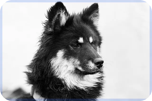 상가분양대출 성공 전략과 활용법은 무엇일까