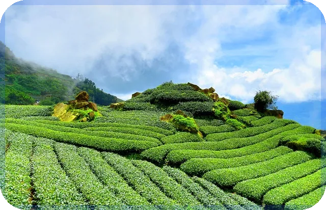 주담대갈아타기 금리 낮추는 최고의 전략은