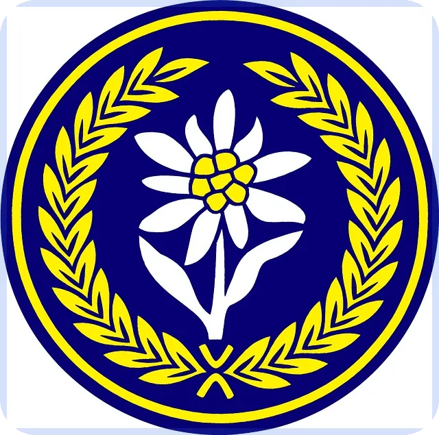 중국드라마무료 정식 플랫폼으로 안전하게 즐기기