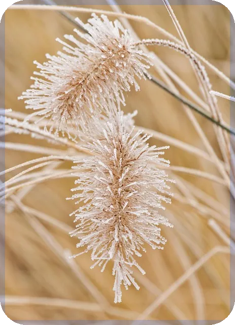 케이뱅크전세자금대출 신청 핵심 팁과 절차 전략