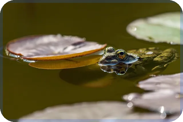 케이뱅크전세자금대출 신청 핵심 팁과 절차 전략