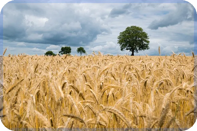 크리에이터지원으로 디자인 수익 창출하는 방법