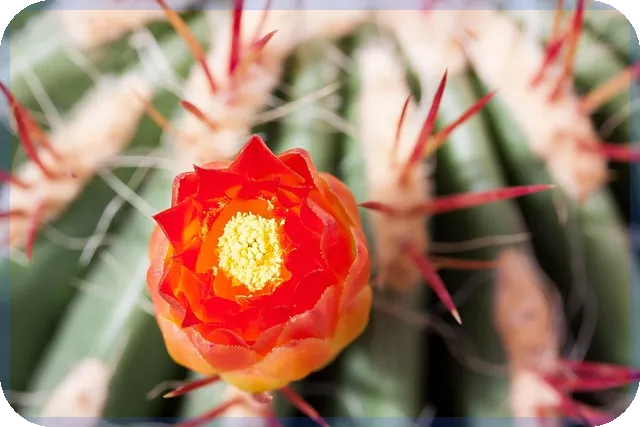 크리에이터지원으로 디자인 수익 창출하는 방법