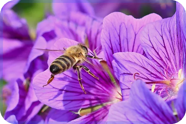 하나카드오토할부로 스마트 자동차 구매 전략