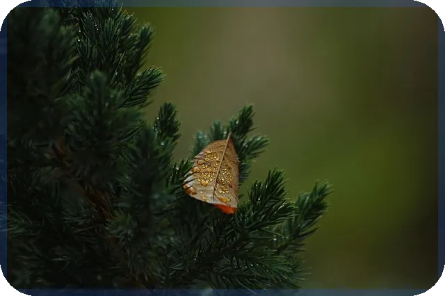 한일시멘트주가 우크라이나 재건 기대와 투자전망