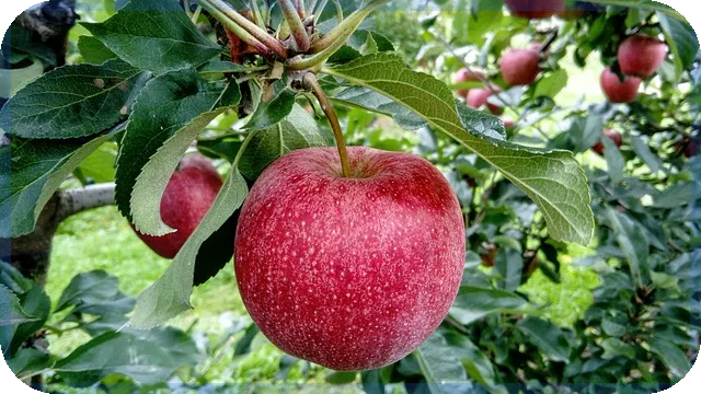 K캐피탈 신입사원 비즈니스 매너 핵심 노하우