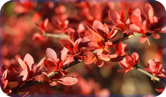 K캐피탈 신입사원 비즈니스 매너 핵심 노하우