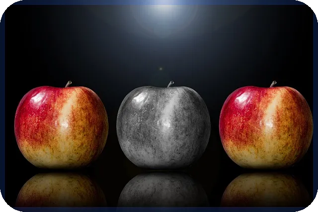 국산중형차 추천 인기 모델과 구매 꿀팁