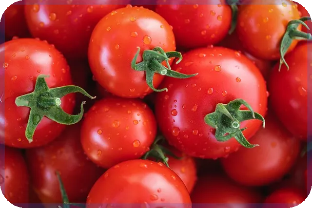 그로스해커가 애드센스 구축하는 비법 공개