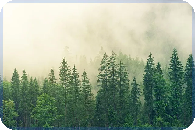 기대출자대출 가능성과 승인 전략 총정리