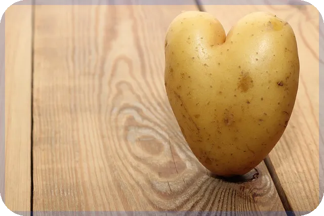 기대출자대출 가능성과 승인 전략 총정리