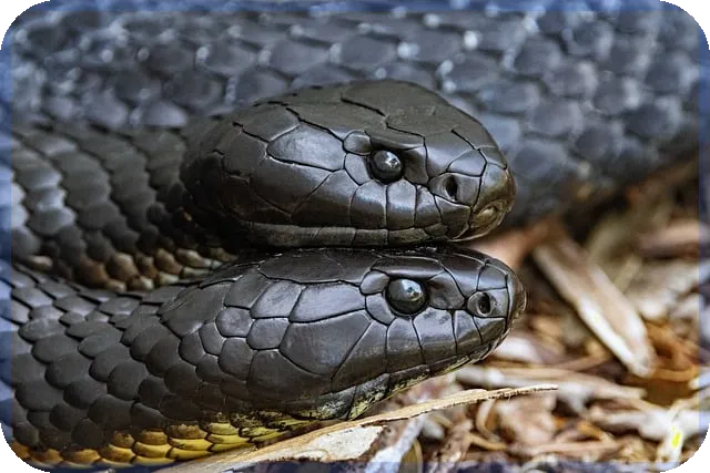 기대출자대출 가능성과 승인 전략 총정리