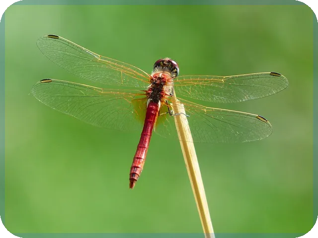 기본이력서다운로드로 취업 준비 쉽게 완성하는 방법