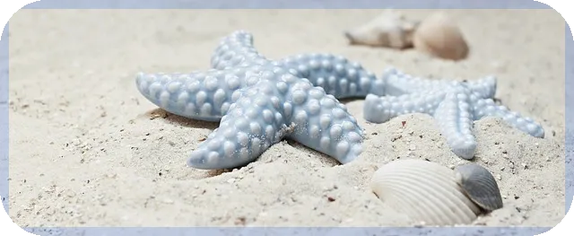 나의신용등급 확인법과 대출 자격 궁금증 해결하기