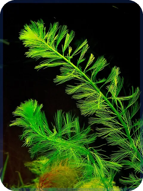 나이스대부 채용정보와 기업문화 핵심전략