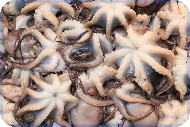 대전월변으로 금융 문제 빠르게 해결하는 방법