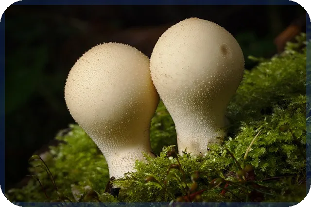 무직자급전대출 쉽게 받는 방법과 주의점