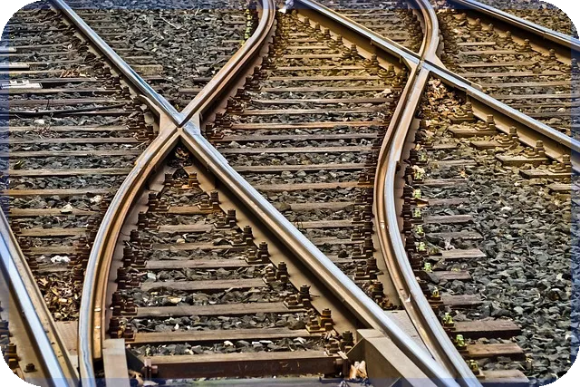 미래유망사업 성공전략 솔솥의 성장 비결은 무엇인가