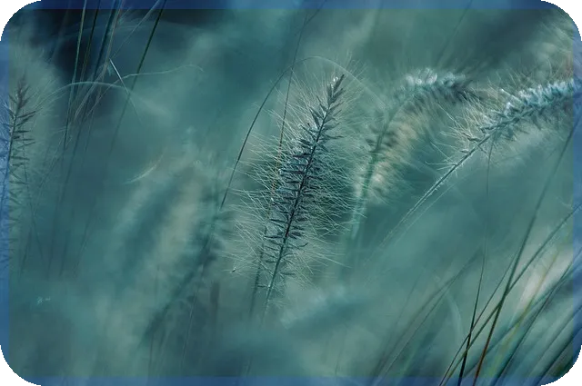 미래유망사업 성공전략 솔솥의 성장 비결은 무엇인가