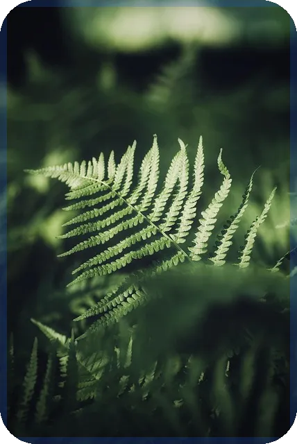 미래유망사업 성공전략 솔솥의 성장 비결은 무엇인가