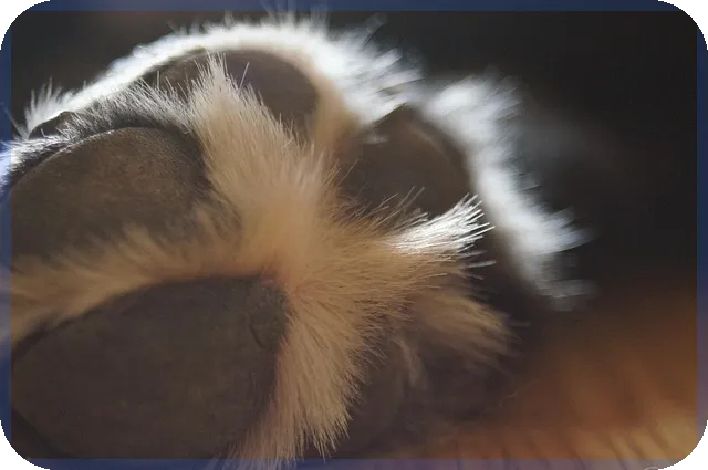 보험통합조회로 내 보험 내역 한눈에 확인하는 방법