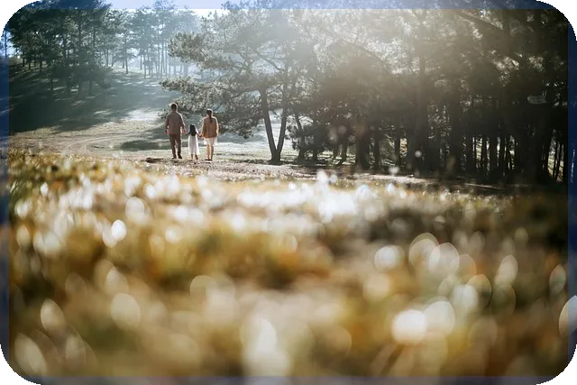 보험통합조회로 내 보험 내역 한눈에 확인하는 방법