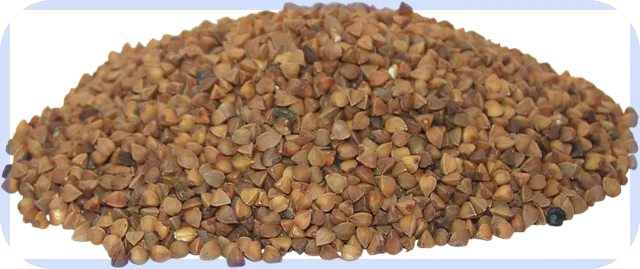 신용올리기 성공 비결 한 가지로 점수 900점 달성하기