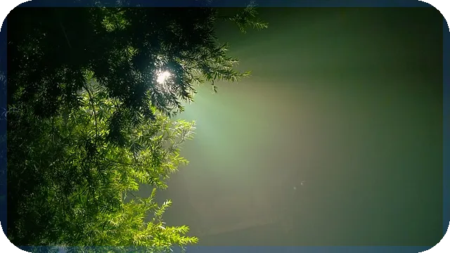 여성창업지원금 신청 방법과 조건 쉽게 알기