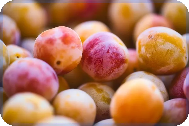 자동차단기렌트로 프라이빗 이동 만족도 높이기