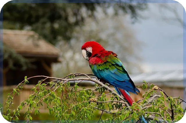 자동차단기렌트로 프라이빗 이동 만족도 높이기