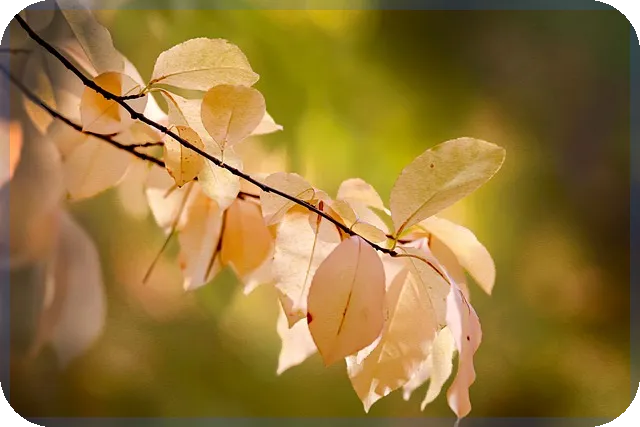 정기적금금리비교 방법과 정확한 계산법