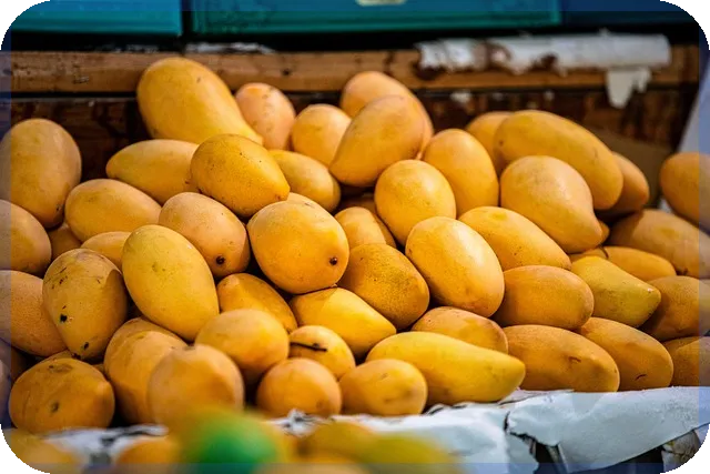 주식신용이자 절감 전략 최신 가이드