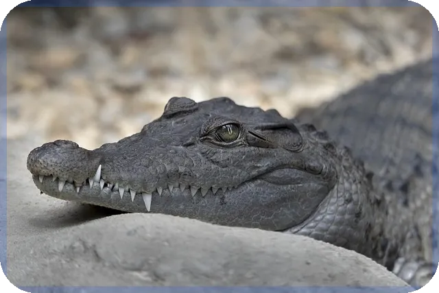 주요증시 일정과 전망 알아보기
