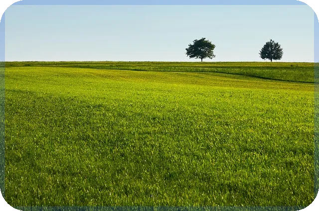 주요증시 일정과 전망 알아보기