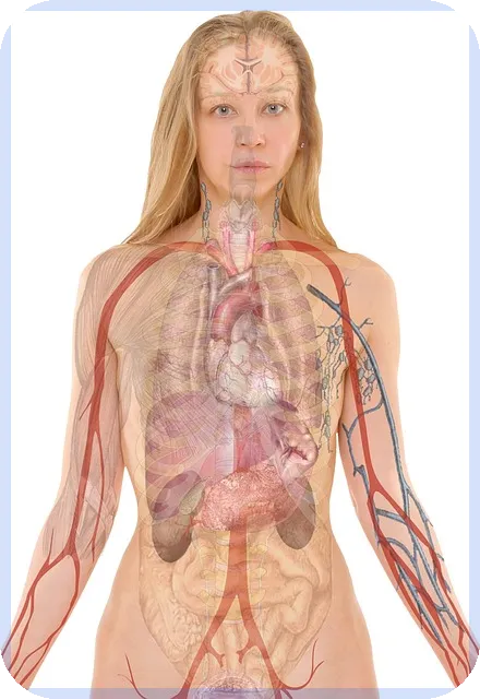 주요증시 일정과 전망 알아보기