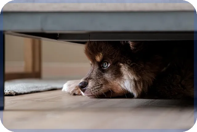 주택대환대출 조건과 금리 비교로 이자 절감하기
