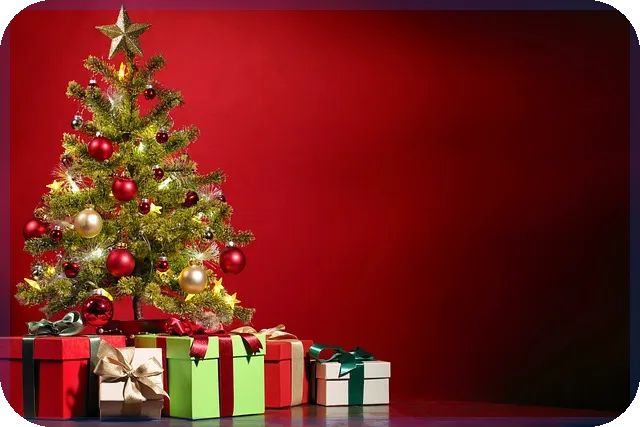 중고차코나 구매 후기 안전하고 실속있게 선택하는 법