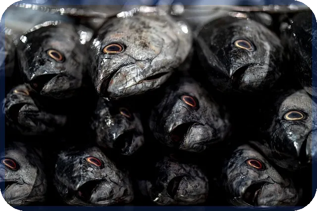 중고차코나 구매 후기 안전하고 실속있게 선택하는 법